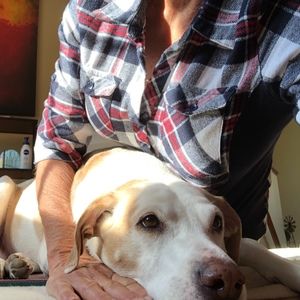 Meet your Posher, Glenna